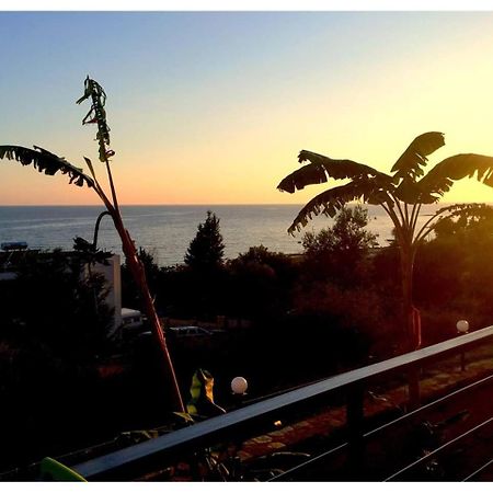Sea View Hotel דרמי מראה חיצוני תמונה